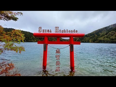 Hiking with Dog - Shiga highlands in JAPAN  🐶🐾 - 志賀高原 大沼池 -