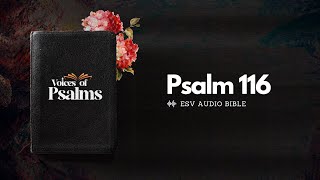 Psalm 116 English Audio Bible ESV  | Grateful for God’s Deliverance