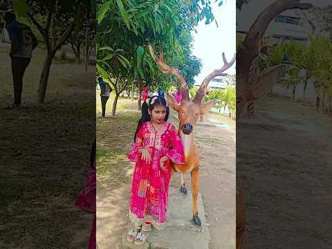 Thandi Thandi babani Chali