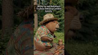 Niemiecka plaża uznana za bałtycką perłę.