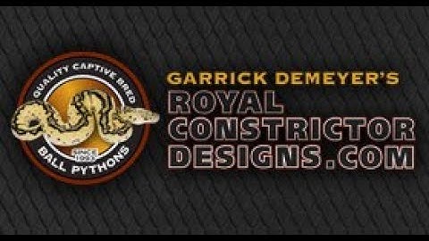 Ball Python Egg cuttin!  Going for G Stripe Clowns, Super Mystic Lavenders, Pieds and more!