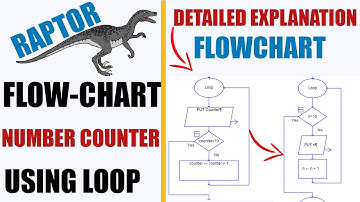 Raptor Number Counting Program using Loops