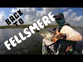 Back To Fellsmere - 2/9/21