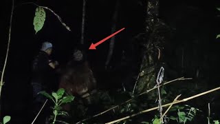 Download Lagu SAYA YAKIN KALIAN AKAN TERHERAN HERAN APA YANG DI LAKUKAN OLEH YOUTUBER INI?! MP3