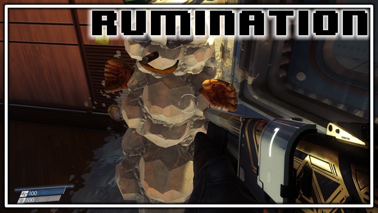 Rumination Analysis on Prey 2017