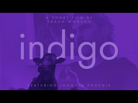 Indigo