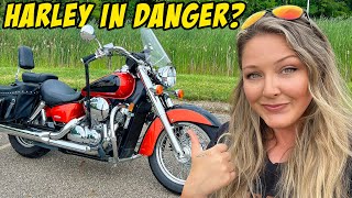 Harley-Davidson&#39;s BIGGEST Mistake. Can this Beginner Bike hurt H-D?