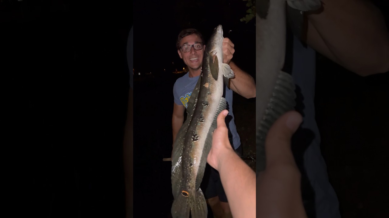 Snakehead Catch and Cook
