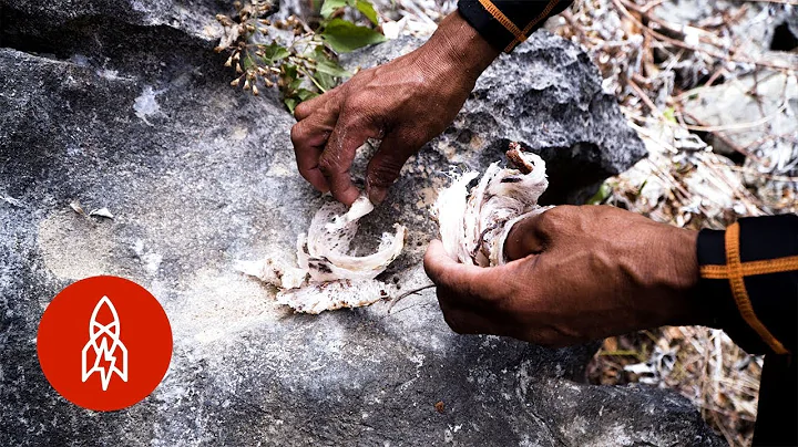 Risking Death in the Name of Soup