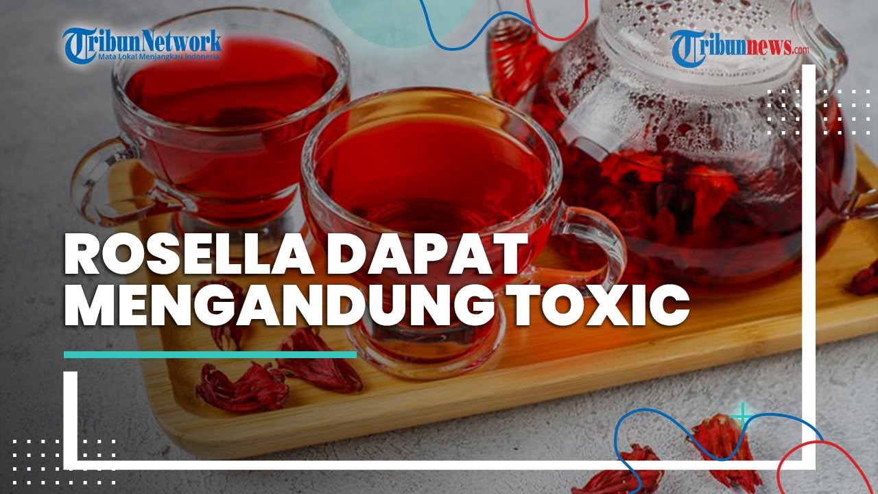 Rosella Dapat Mengandung Toxic, Begini Cara Aman Konsumsi Bunga Rosella