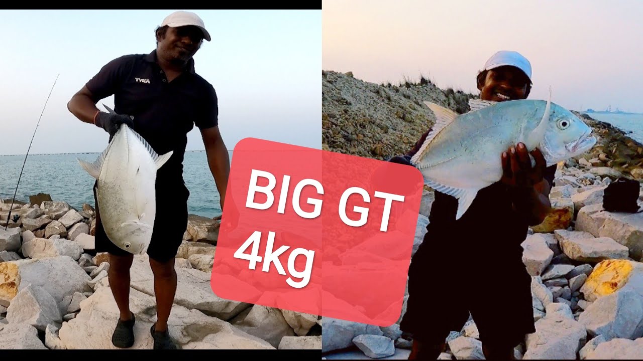 4kg Big GT caught by 3 inch small sinking lure