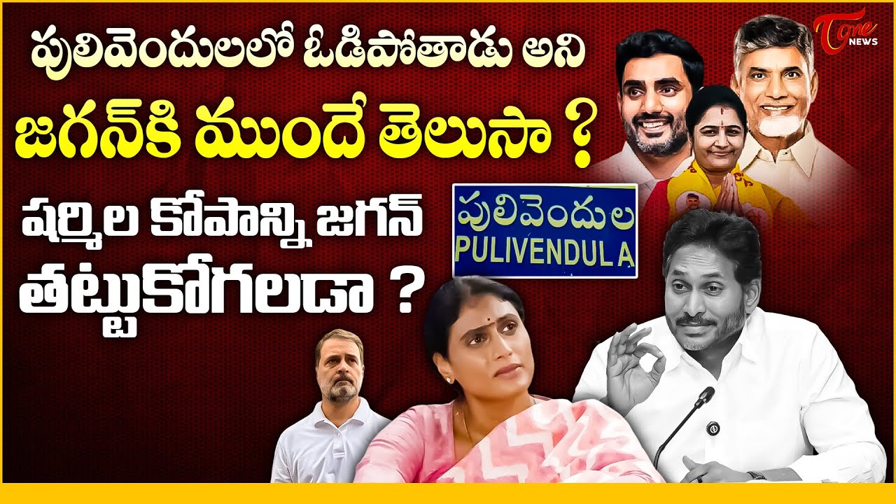 Did Jagan Know Pulivendula Defeat in Advance? | YS Sharmila Fires on Jagan | Tone News 