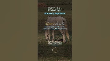 سورة المائدة آية ٧٩-٨٠.     Sourate   Al-Ma'idah Verset 79-80 #islam