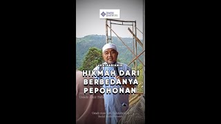 Hikmah Dari Berbedanya Pepohonan  Ustadz Amir Faishol Fath kataabiamir