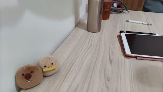 醫師國考｜指考&國考加油｜Coffee jazz｜Study with me｜Real time｜BGM｜Med student