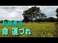 「命 道づれ」秋岡秀治 cover HARU