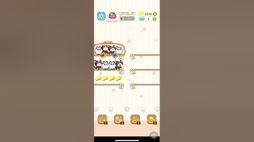 Color Cat Sort Cute Cat Game Level 51 #shorts #shortsfeed #cat #gaming