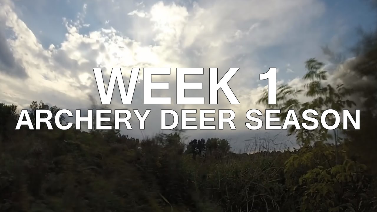 Week 1 of Archery Deer Season Michigan YouTube