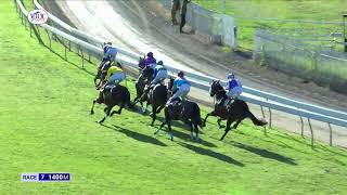 Hippisme : Suivez En Direct La 7Ème Course De La 3Ème Journée De Course Au Champ De Mars.