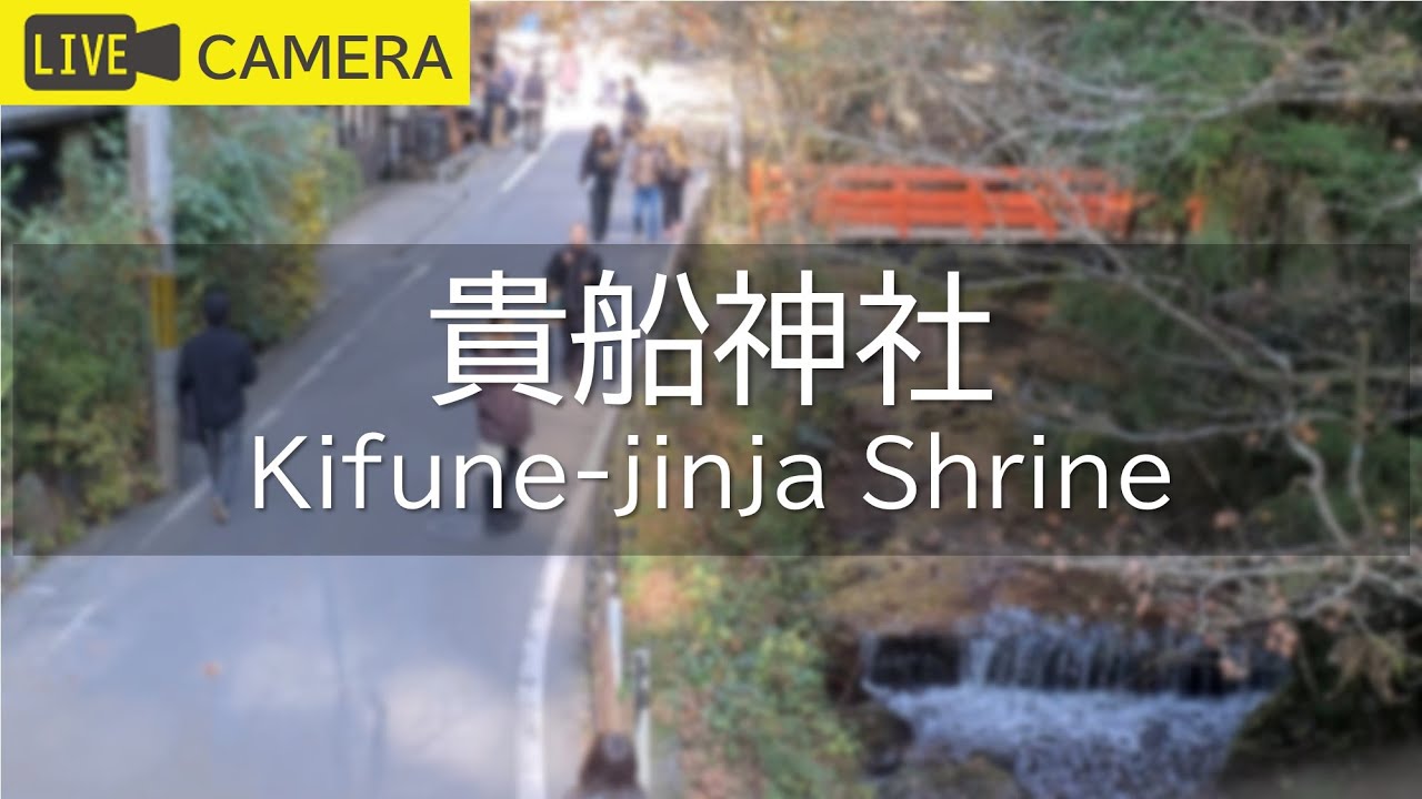 【LIVE】京都 貴船神社ライブ中継カメラ/Kifune-jinja Shrine, Kyoto Live camera