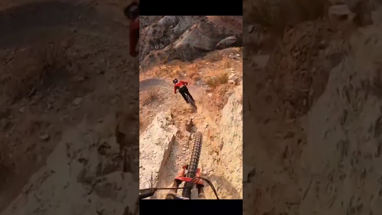 flying bird status YouTube