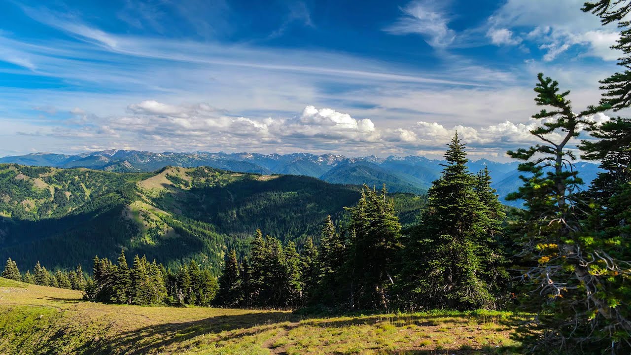 Hurricane Ridge Trail - Olympic National Park WA 4K UHD - YouTube