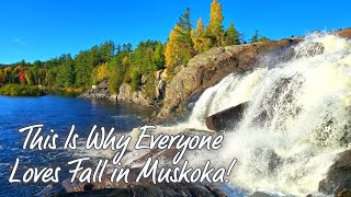 The Most Beautiful Fall Walk in Muskoka 🍁🍂 (Huntsville, Bracebridge, Gravenhurst) [4k]