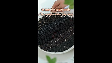 BẠN NÀO RỤNG TÓC, TÓC ÍT, TÓC MỎNG VÀ BẠC SỚM THÌ HÃY DÙNG TRÀ MÈ ĐEN NÀY ĐI