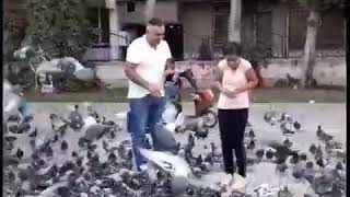 Teme Teme Zalimetemme