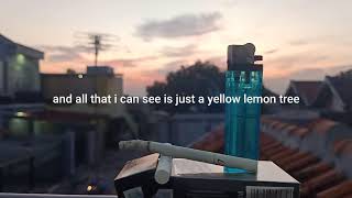 lemon tree story' wa