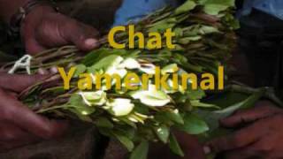 New Ethiopian  funny  music /Chat Yamerekinal