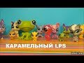 LPS: КАРАМЕЛЬНЫЙ ПЕТ ОТ КАМИЛЛЫ ИЗ САНКТ- ПЕТЕРБУРГА