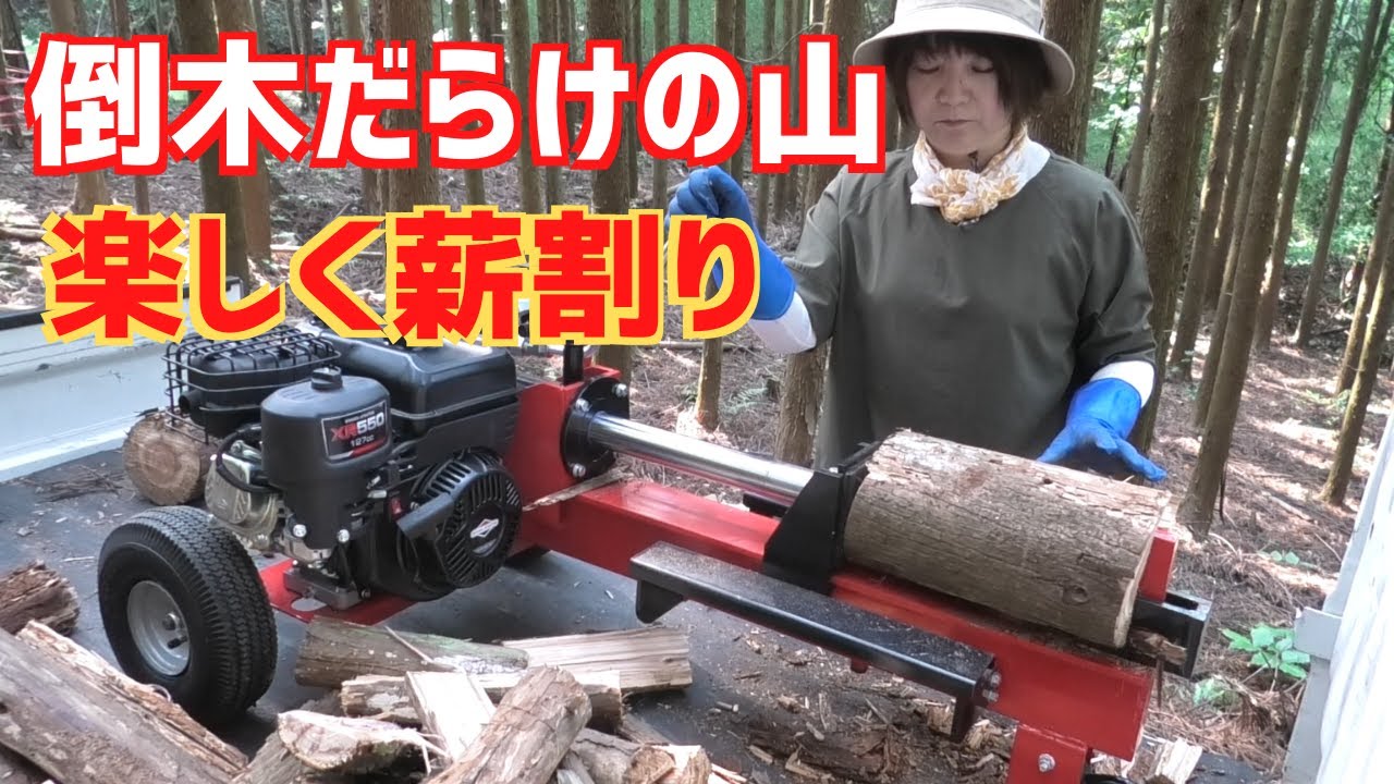 荒れた倒木だらけの山中で楽に楽しく薪割り！