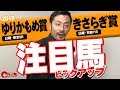 【帯リオンハンター注目馬】きさらぎ賞&ゆりかもめ賞 馬券の肝はこの馬だっ!!