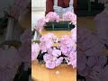 #centerpieces #arrangement #꽃꽂이 #센터피스 #꽃집창업  수강문의 051 203 2031 (카톡) 토선생