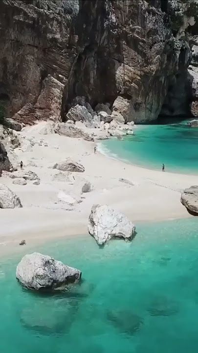 Relaxing Music with the Soothing Sounds of Nature | 1 Minute of Peaceful Bliss #shorts #short