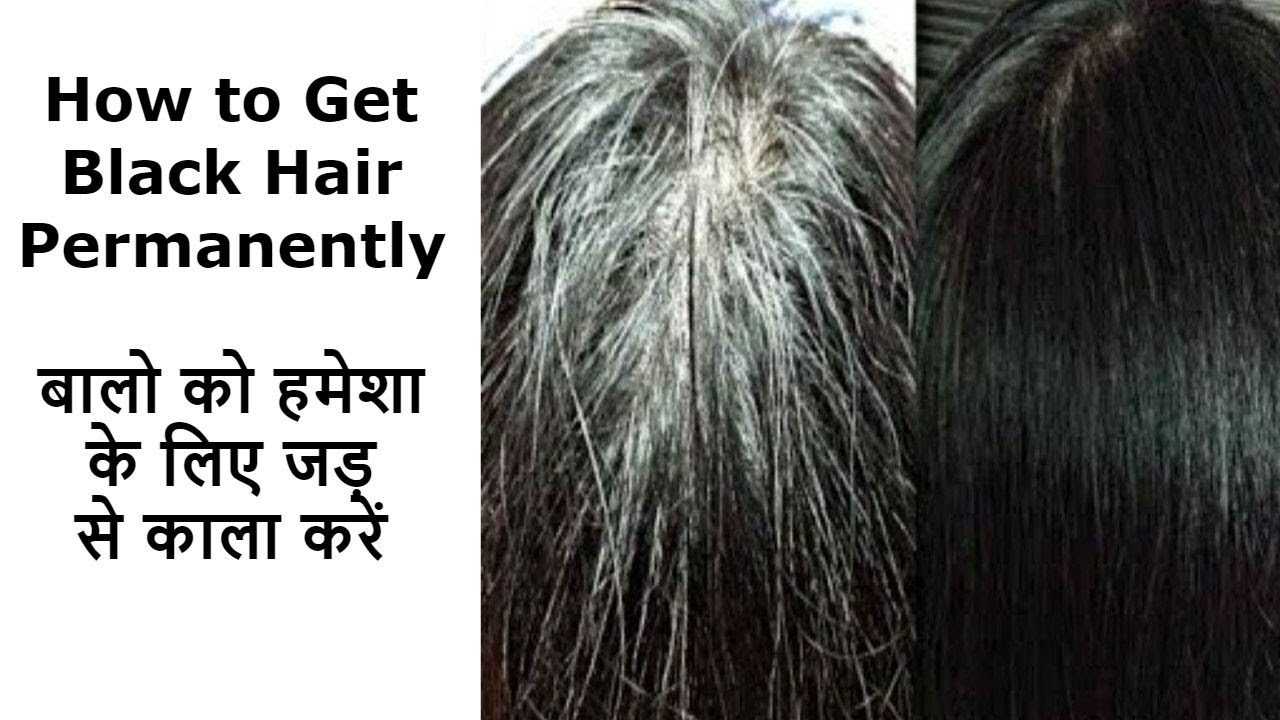 turn grey hair back naturally बालो को हमेशा के लिए जड़ से काला करें | Balo Ko Kala Karne Ka Tarika | Safed Balo ka Ilaj