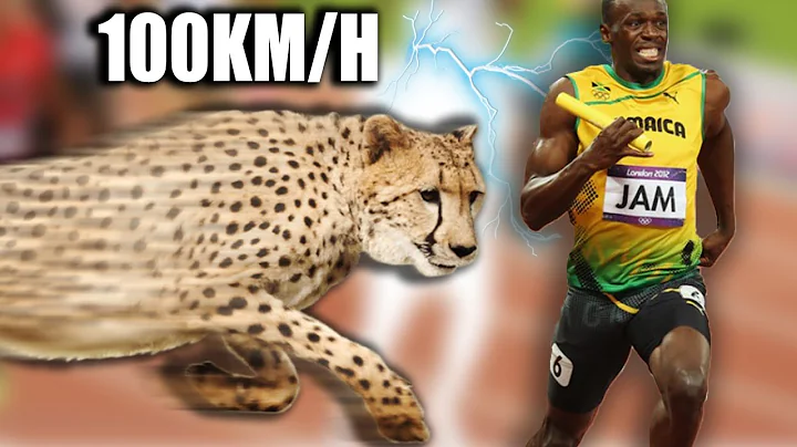 Top 10 Fastest Runners in the World