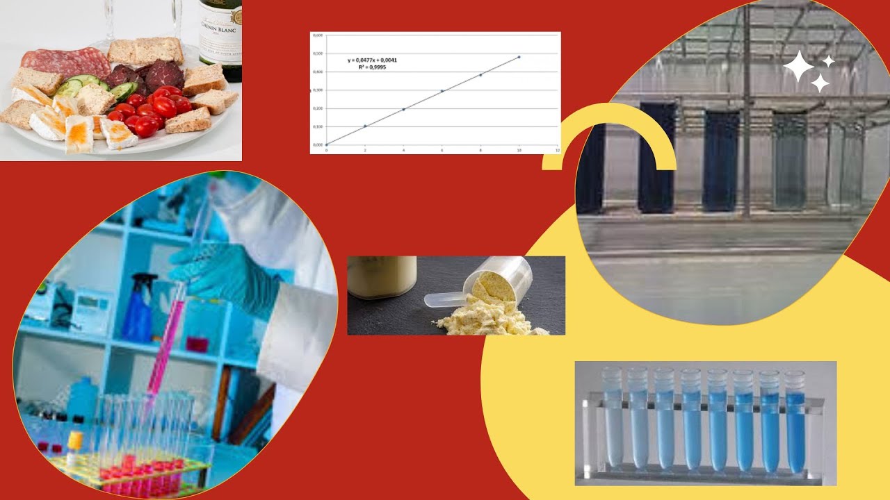 TP Dosage spectrophotométrique des protéines tissulaires par la — free download
