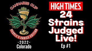 High Times Cannabis Cup 2022 Live Judging - Ep. #1