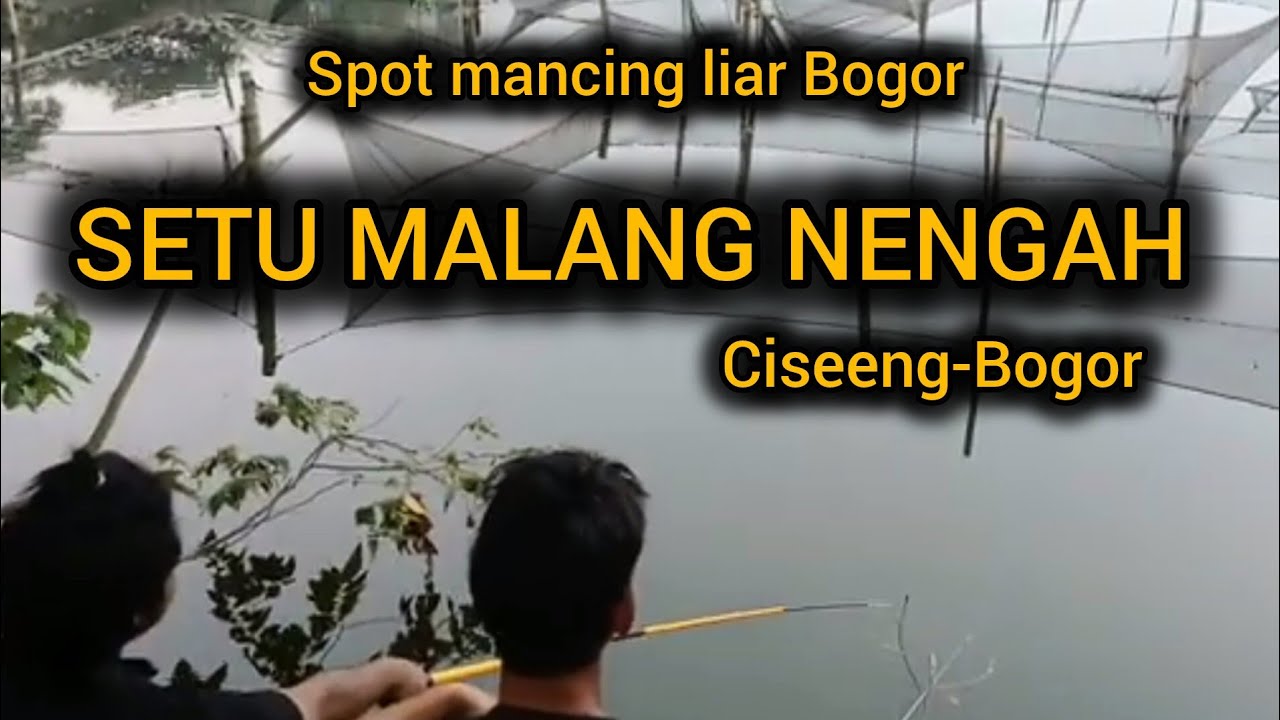 SPOT MANCING LIAR BOGOR SETU MALANG NENGAH CISEENG BOGOR 