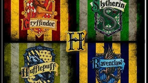 Harry Potter And The Order Of The Project Panners Collab Intro