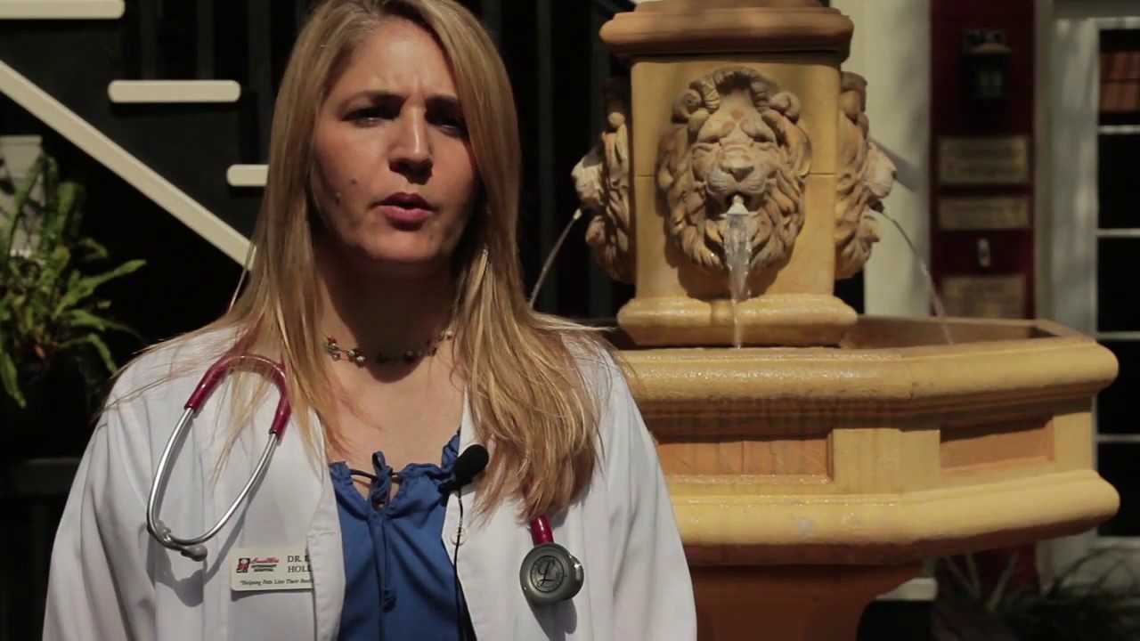 Welcome to FloridaWild Veterinary Hospital | DeLand, FL
