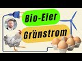 Was haben Bio-Eier und Grünstrom gemeinsam? || Energiemärkte erklärt