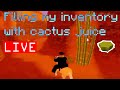 Filling my entire inventory with cactus juice live