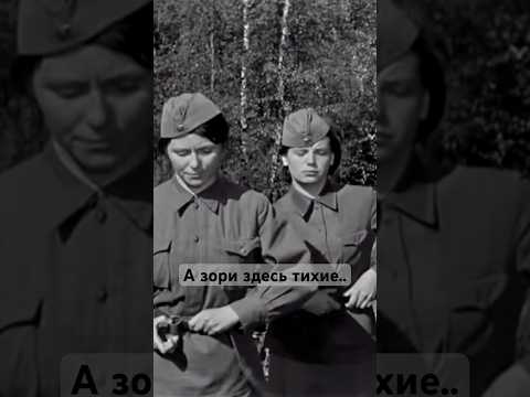 «А зори здесь тихие..» #кино #shorts #ussr #советскоекино #ссср #ностальгия #фильм #военныефильмы