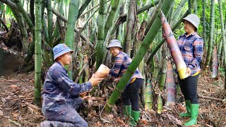 Harvest giant bamboo shoots, Processing and preserving for many months | Live with nature