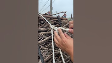 WOW... Super Simple Trucker