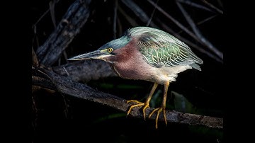 Adjusting Capture Time in Lightroom