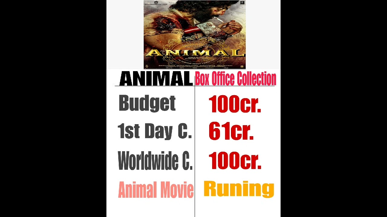 Animal 1st Day Box Office Collection | Animal Worldwide Collection | Animal Collection Update